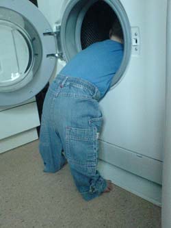 Wash & Dry in Milan